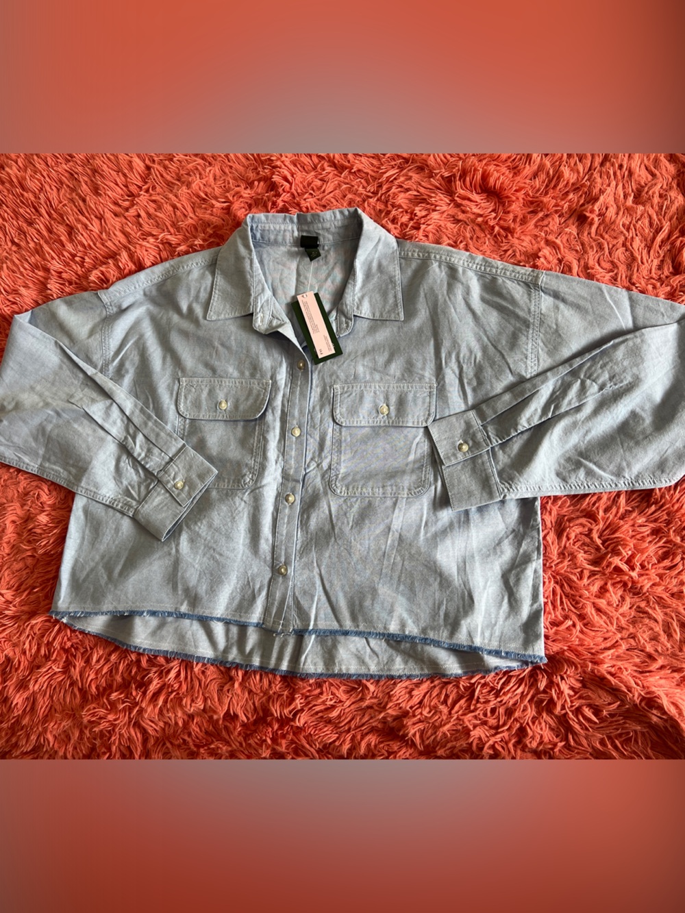 wild fable Light Blue Collared Button Shirt